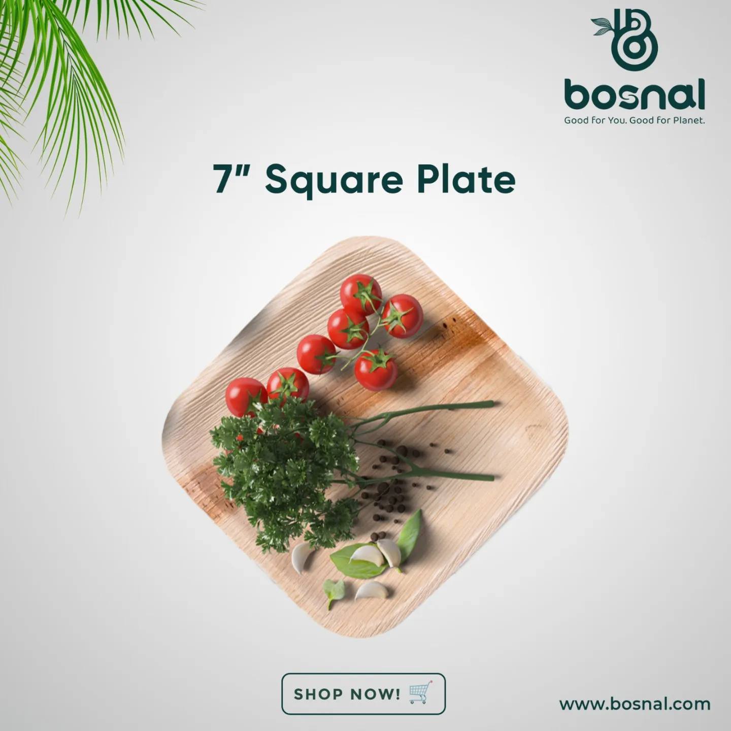 Palm Leaf Biodegradable 10" & 7" Square Plates, 5" Bowls with Cutlery Combo (25 Each Plates, 25 Bowls, 50 Forks, 25 Spoons, 25 Knives), Eco-Friendly, Compostable, Bamboo-Wood