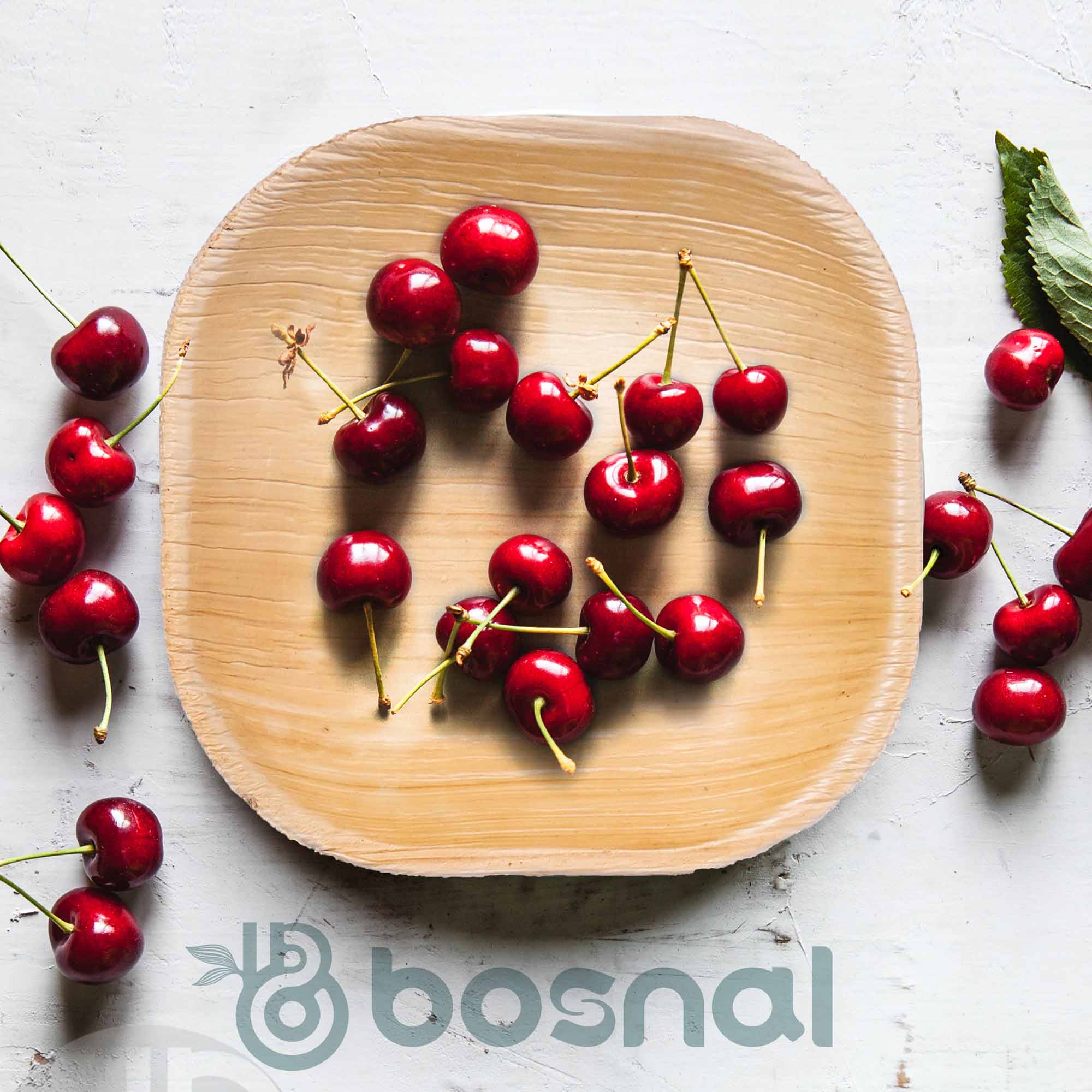 Bosnal - Palm Leaf Biodegradable Plates, 4 inch, Square 3
