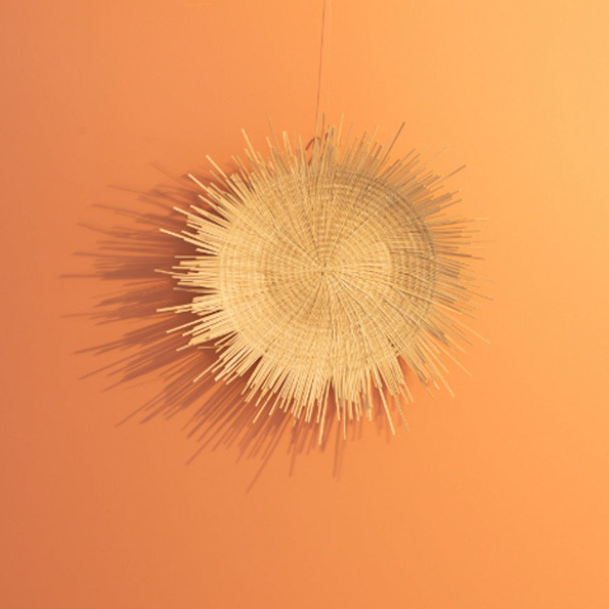 Sun Plate 4