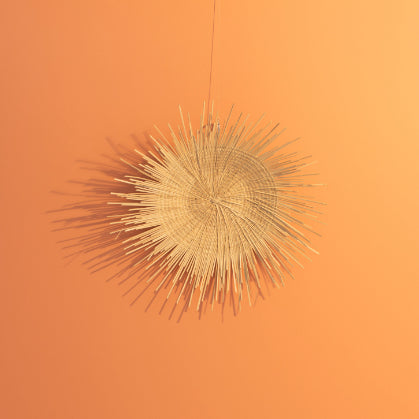 Sun Plate 5