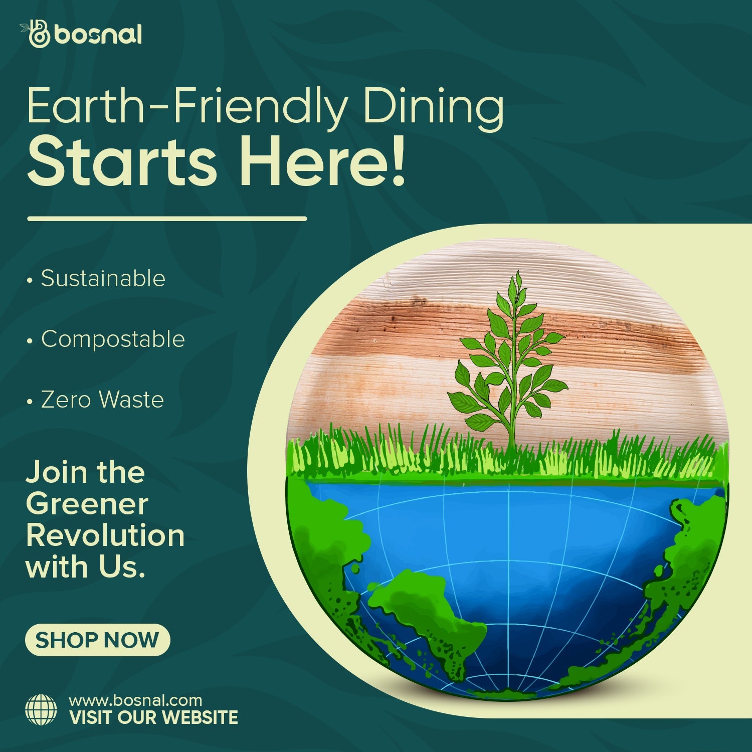 Bosnal - Palm Leaf Biodegradable Plates, 9 inch, Round 6