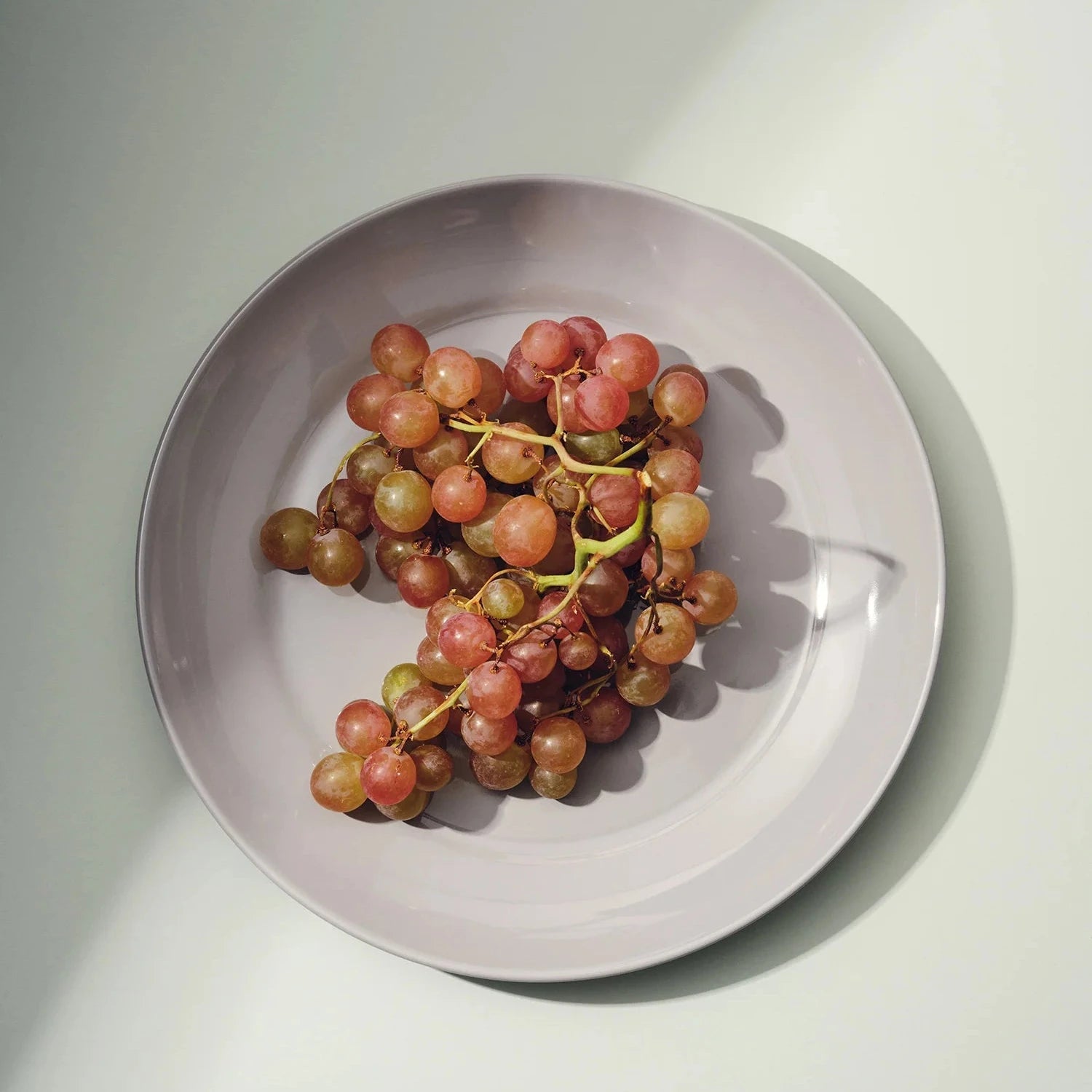 S/4 Large Plate 3
