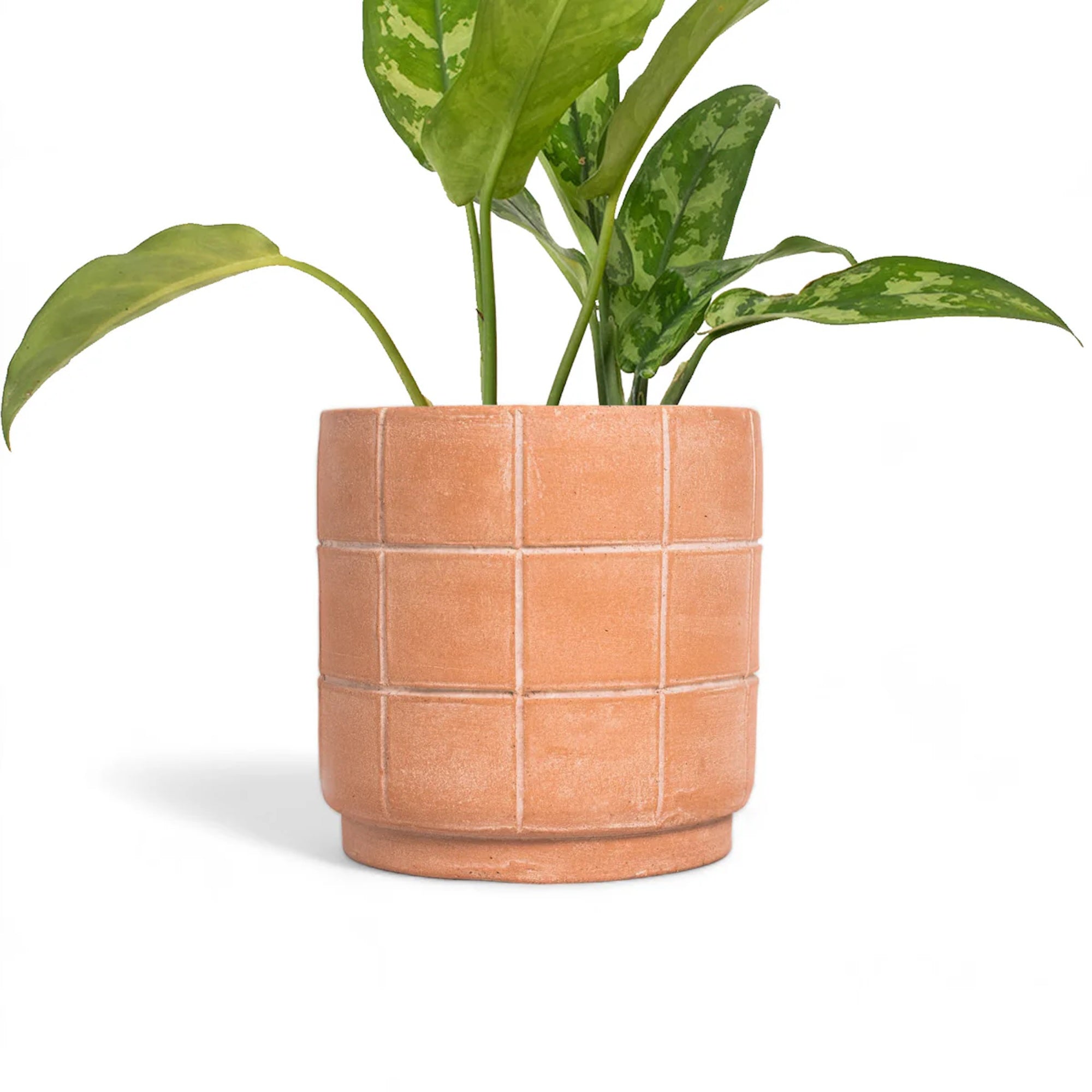 Grid Terracotta Planter - Large 3