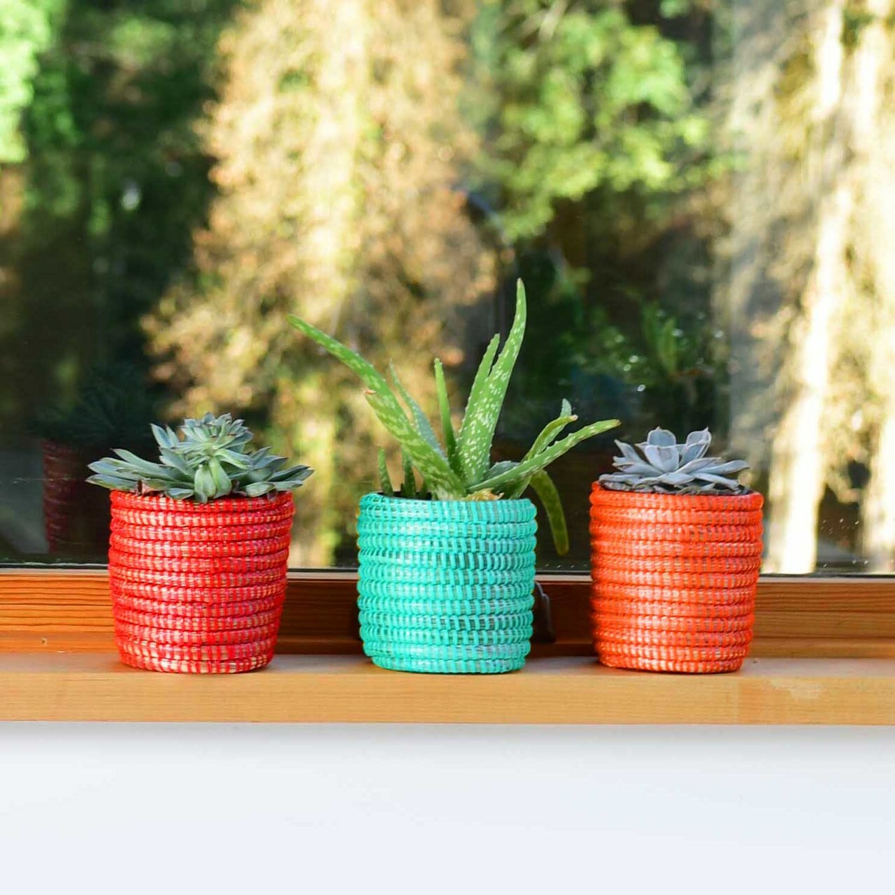 Succulent Basket Planter 3