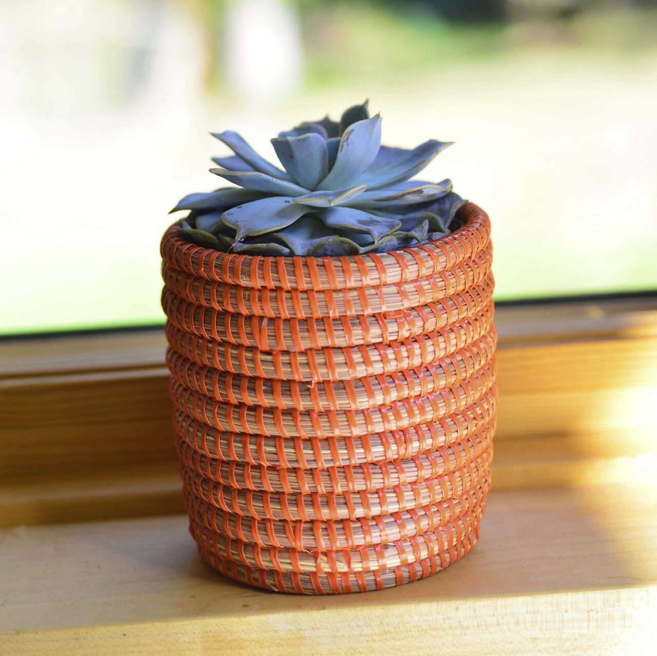 Succulent Basket Planter 4