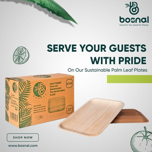 Bosnal - Palm Leaf Biodegradable Plates, 9 x 6 inch Rectangle 8