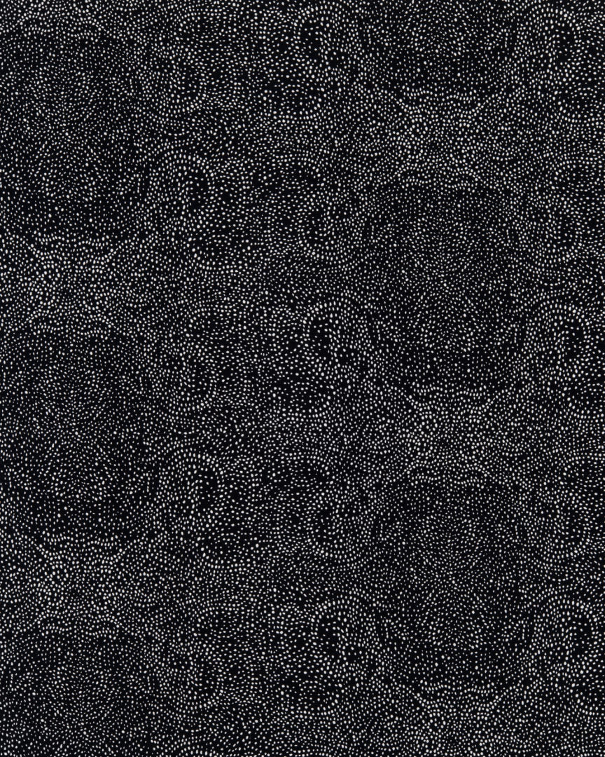 Black and White Fabric Swatch Set 8
