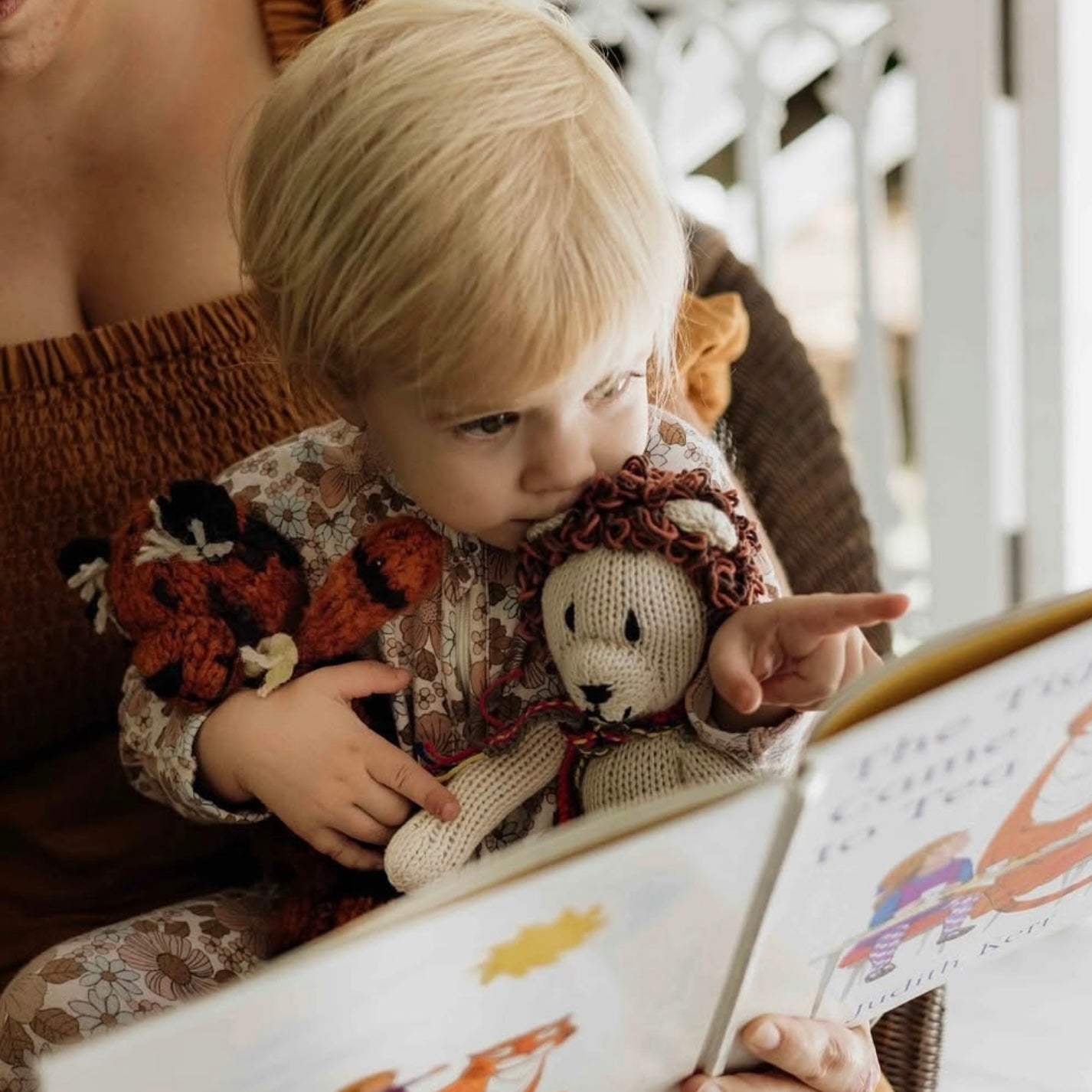 Wool Knit Buddy  | Lionel the Lion 3
